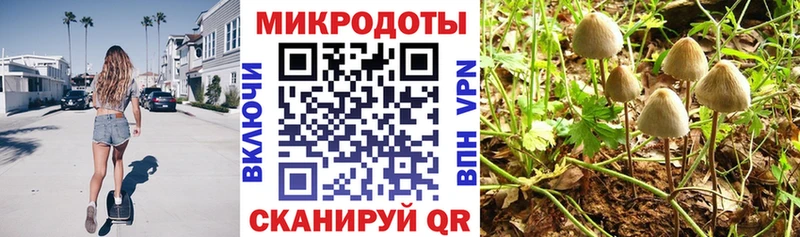 Псилоцибиновые грибы GOLDEN TEACHER  Купить где  Щёлкино 