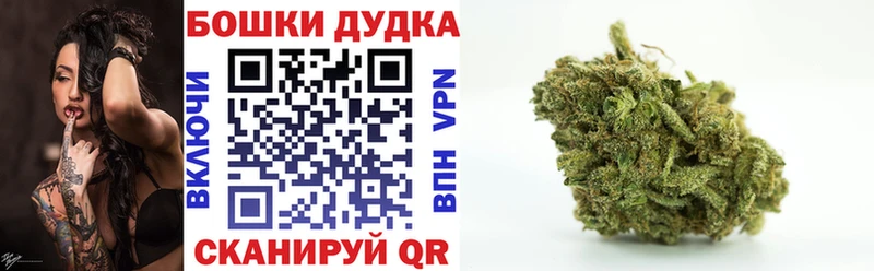 Бошки Шишки план  Купить  Щёлкино 